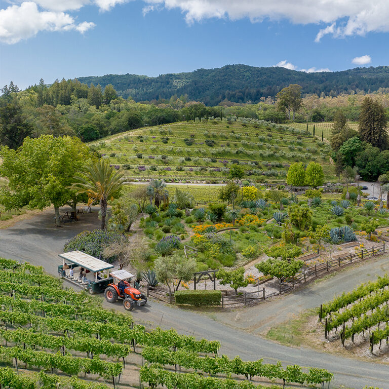 Tours and Tasting - Benziger Family Winery