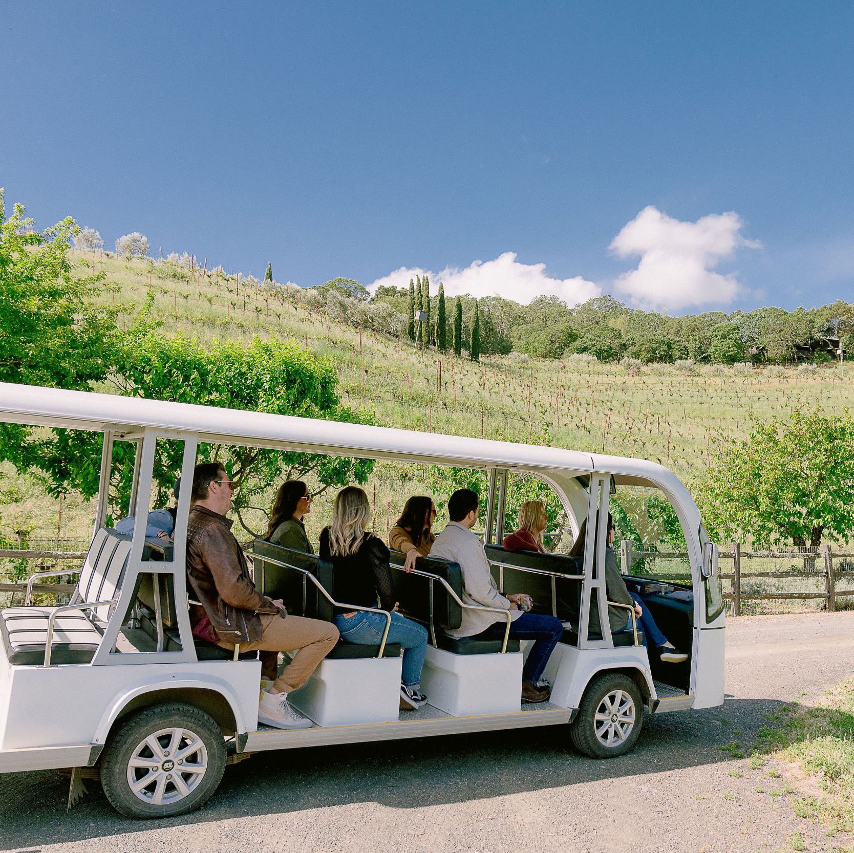 Sonoma Magazine: Holiday Guests Coming? Here Are 4 Perfect Sonoma ...