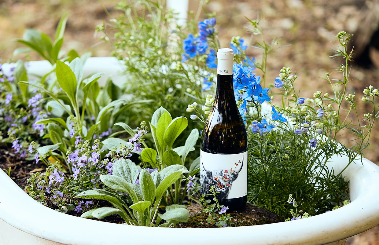 Benziger Running Wild Chardonnay sitting in a tub of flowers and herbs