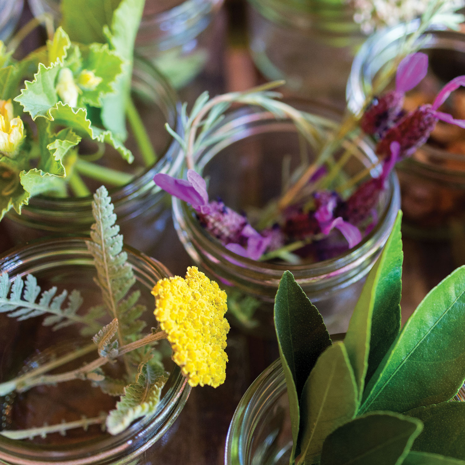Collections of flowers in mason jars