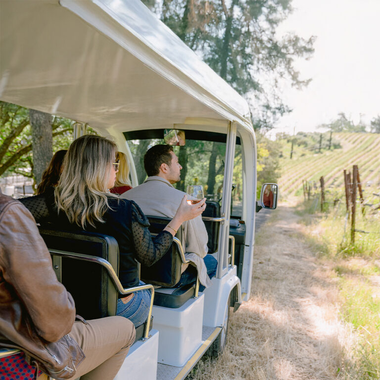Tours and Tasting - Benziger Family Winery