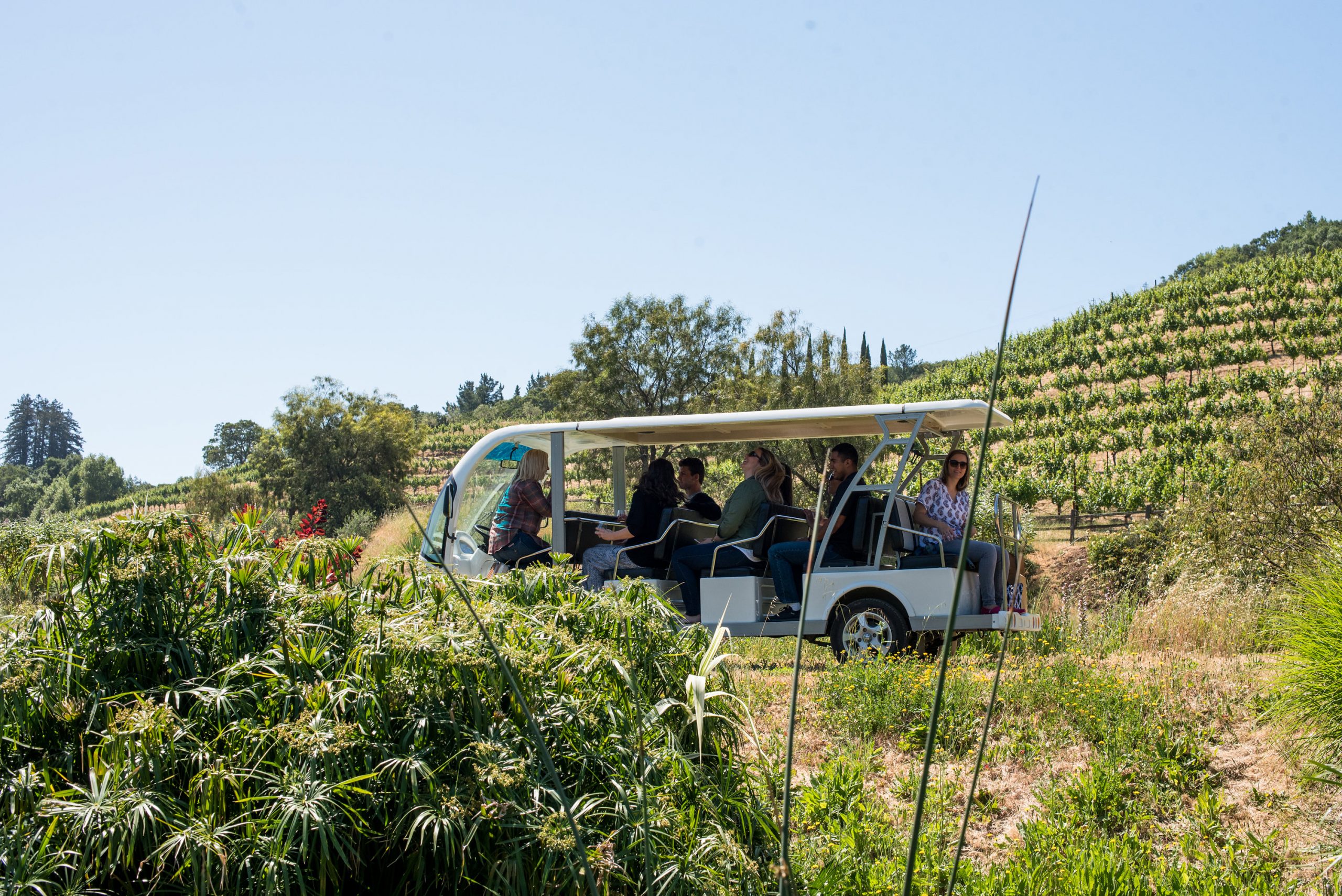 Benziger Named Top Winery Tour by USA Today Reader's Choice - Benziger ...